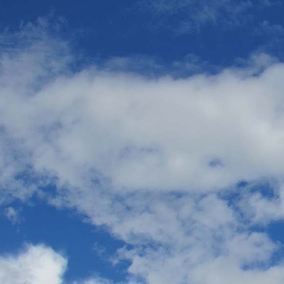 ATTENTION! i’m open to negotiating 4 lower prices! - Picture 1 of 1